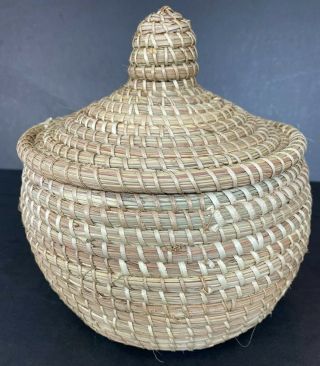 Vtg Sweetgrass Cobra Basket With Lid Tight Weave 9 " Tall Woven Coiled Exc