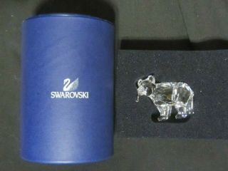 Swarovski Crystal Scs 261925 Grizzly Cub W/fish Round Box W/sponge 2
