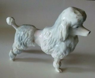Collectible Vintage Porcelain French Poodle Dog Figurine.  Western Germany