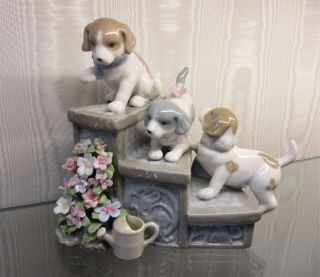 Very Cute Adora By Cosmos " Puppies On Stairs " Musical Figurine