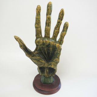 11 " Palmistry Hand Alchemy Guild Mummified Zombie Gothic Witch Costume Prop