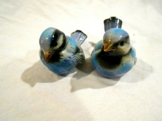 Goebel Blue Birds Cv 73 & 74