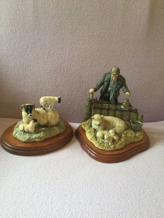 Border Fine Arts King Of The Castle And A Pair For The Royal Sheep Figurines
