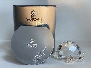 Authentic Swarovski Silver Crystal Large Turtle Figurine 7632 Mib Signed
