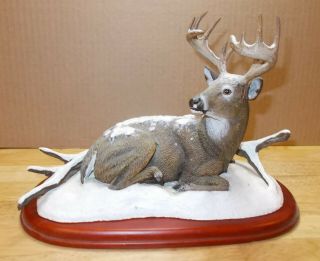 The Danbury “winter Stag” By Bob Travers From The White - Tailed Deer Sculptu