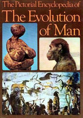 Evolution Man Encyclopedia Erectus Boisei Habilis Australopithecus Sapiens Pix