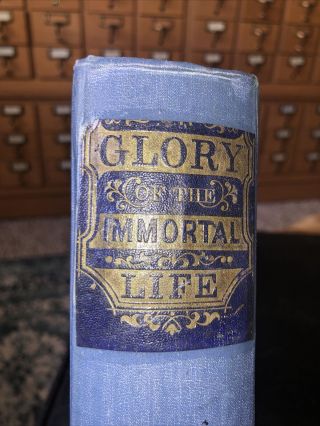 Glory Of The Immortal Life,  J.  E.  Stebbins,  1897