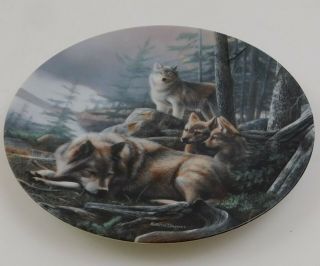 Kevin Daniels Silent Watch Wolf Plate Call Of The Wilderness 3 Knowles 1991 2