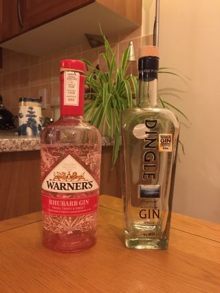 Empty Gin Bottle X2 - Warner’s And Dingle
