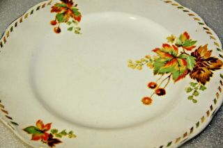 Grindley Plate Cream Petal Autumn Theme Round Plate Bundarra 24 Cm English China