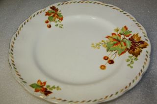 Grindley plate cream petal autumn theme round plate Bundarra 24 cm ENGLISH CHINA 2