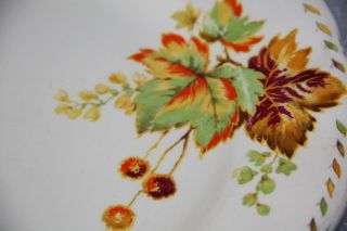 Grindley plate cream petal autumn theme round plate Bundarra 24 cm ENGLISH CHINA 3