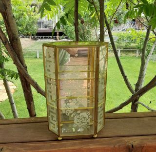 Small Vintage Glass Brass Curio Case Mirror On Back 3 Shelves Etched Rose Design