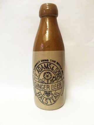 Antique T.  F.  Adams & Sons Ginger Beer Halstead Stoneware Bottle No.  75