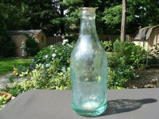 Vintage Painesville Mineral Springs Co.  Bottle Painesville Ohio