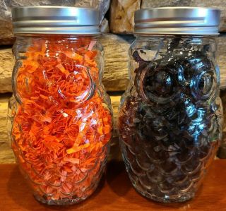 Owl Shaped Mason Glass Jars Set Of 2 Cool Funky Unique Halloween Fall Decor 6 "