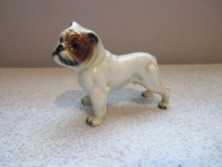 Vintage 1950 Goebel (germany) Porcelain " Bulldog " Figurine