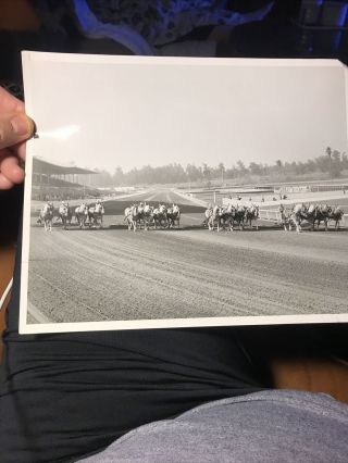 Vintage Horse Racing Photo 1950’s 8”x10” Santa Anita Grooming Track