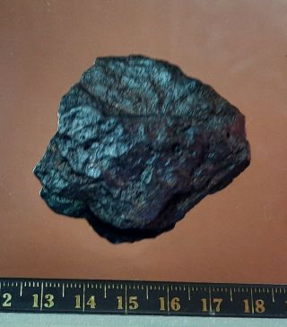 Rare Iron Nickel Meteorite 58.  5 Grams Unclassified Specimen