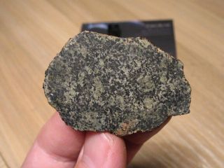Martian Meteorite Nwa 13250 - Poikilitic Shergottite (peridotitic - Lherzolitic)