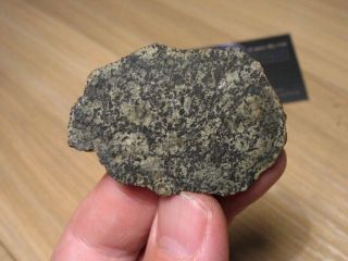 Martian Meteorite NWA 13250 - Poikilitic Shergottite (Peridotitic - Lherzolitic) 2