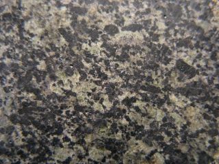 Martian Meteorite NWA 13250 - Poikilitic Shergottite (Peridotitic - Lherzolitic) 4