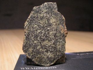 Martian Meteorite NWA 13250 - Poikilitic Shergottite (Peridotitic - Lherzolitic) 5
