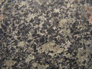 Martian Meteorite NWA 13250 - Poikilitic Shergottite (Peridotitic - Lherzolitic) 6