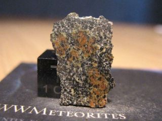 Martian Meteorite Nwa 13369 - Poikilitic Shergottite (peridotitic)