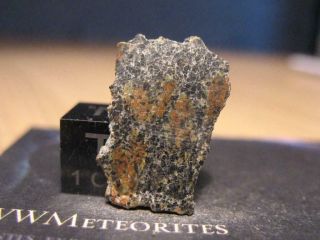 Martian Meteorite NWA 13369 - Poikilitic Shergottite (Peridotitic) 2