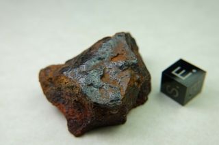 Santa Catharina Meteorite 38.  9 Grams Found 1875 In Brazil Iron Iab - Ung Tkw 7t