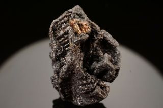Extraordinary Aguilarite Crystal With Native Silver San Carlos,  Mexico
