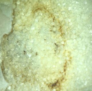 Rich Whitlockite Crystals: Tip Top Mine,  South Dakota - Rare Classic