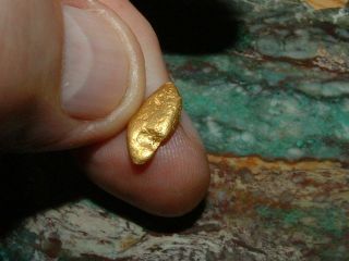California Gold Nugget 1.  34 Gram Natural Gold