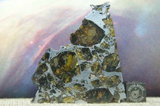 Admire Pallasite Meteorite From Kansas 16.  4g Part Slice With Translucent Olivine