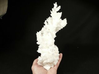 A Big 100 Natural Bright White Aragonite Crystal Cluster 1240gr