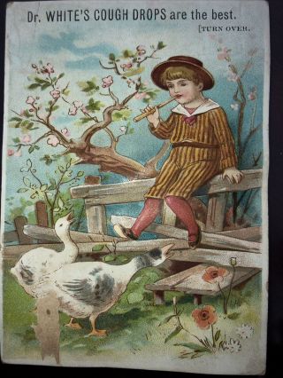 1890s Whites Cough.  Drops Medicine Advertising Card Showing Geese