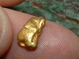 California Gold Nugget 1.  49 Gram Natural Gold