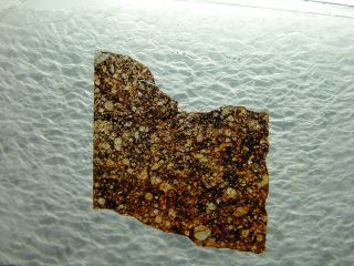 Nwa5414 Official H5 Chondrite Meteorite - 5414 - 0001 - Thin Section - Very Rare