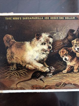 Hoods Sarsaparilla Medicine Advertising Card With Terrier Dog And Puppies