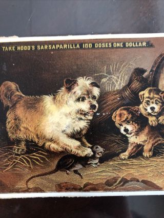 Hoods Sarsaparilla Medicine Advertising Card With Terrier Dog And Puppies 2