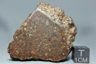 Nwa 10496 Ll3 Chondrite Meteorite 106 Gram Main Mass