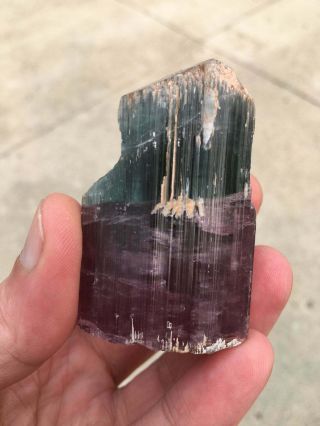 Multicolor Elbaite Tourmaline Crystal Himalaya Mine,  San Diego County California