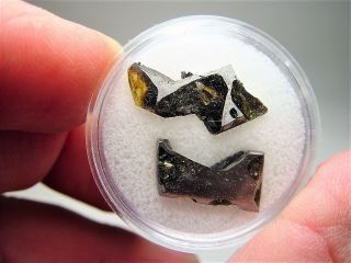 Two Specimens Gorgeous Crystals Exquisite Esquel Meteorite 5.  2 Gms