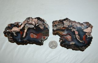 Botryoidal Crater Agate Red Fox Orellanita From Patagonia Argentina Rare Blue