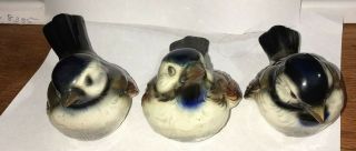 Set Of 3 Vintage Goebel Bird Figurines Cv 72 73 74 Sparrow Brown West Germany