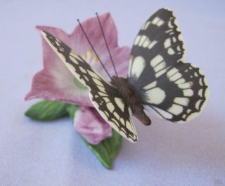 Marbled White Butterfly Butterflies Of The World Franklin Porcelain