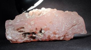 Pink Agate (chalcedony) Wood From Texas Springs,  Nevada 219 Grams Miocene