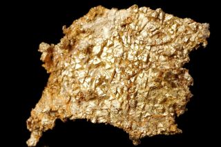 Old Native Gold Crystal Oriental 16 - To - 1 Mine,  California - Ex.  Elling