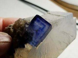 Natural Blue Halite Crystal In Sylvite,  Intrepid Potash Mine,  Carlsbad,  Nm